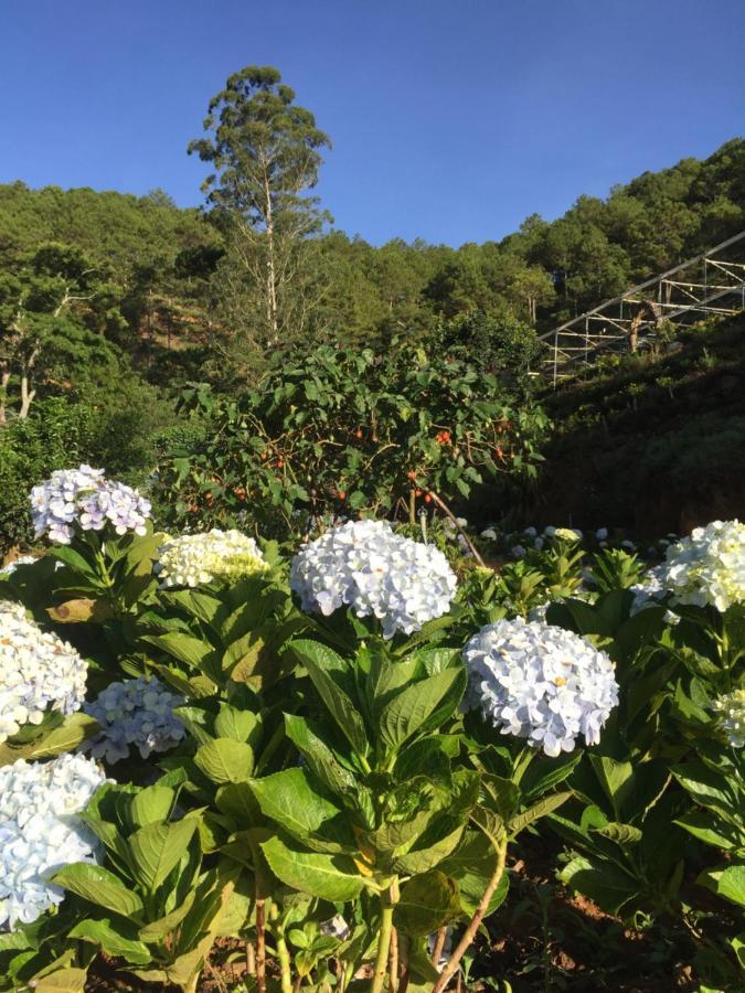 דה לאט Tuyet Hoa Hon Bo Homestay מראה חיצוני תמונה
